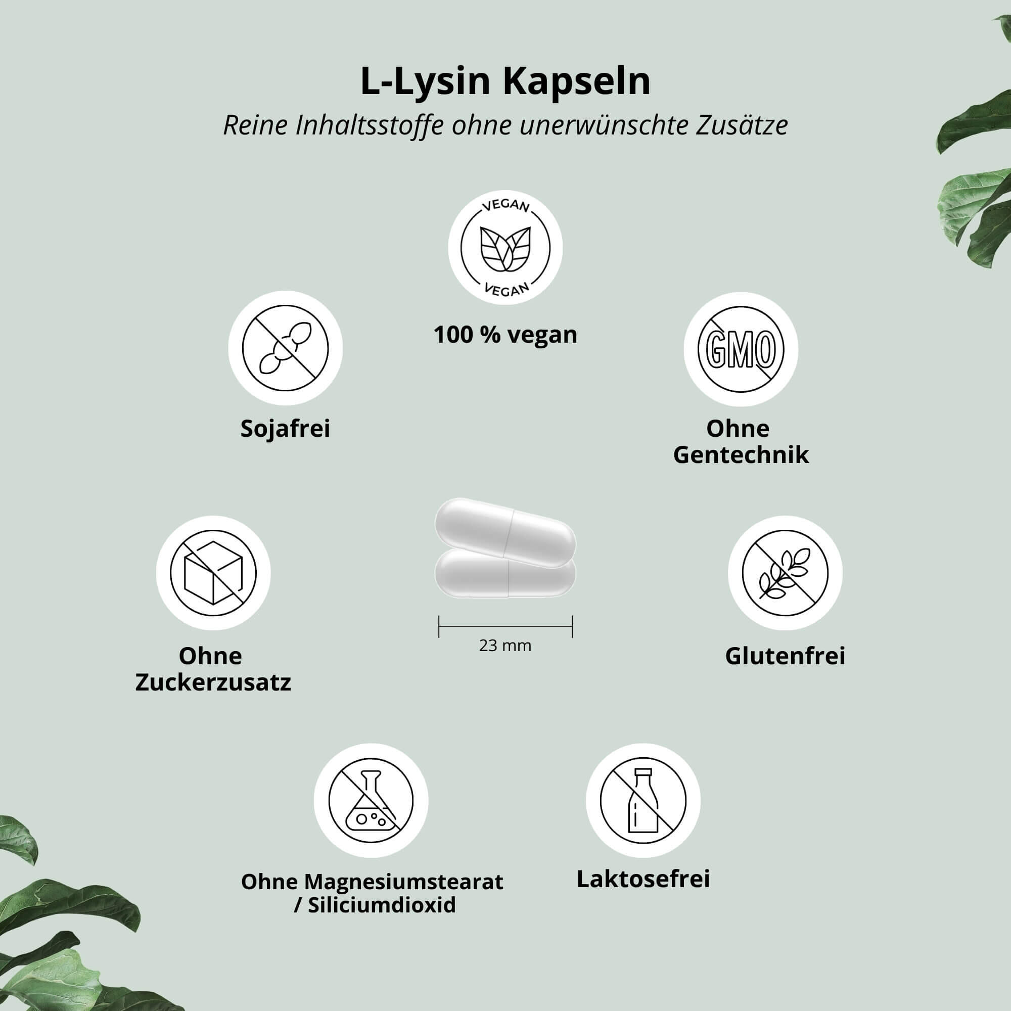 L-lisina, 120 cápsulas 3/5