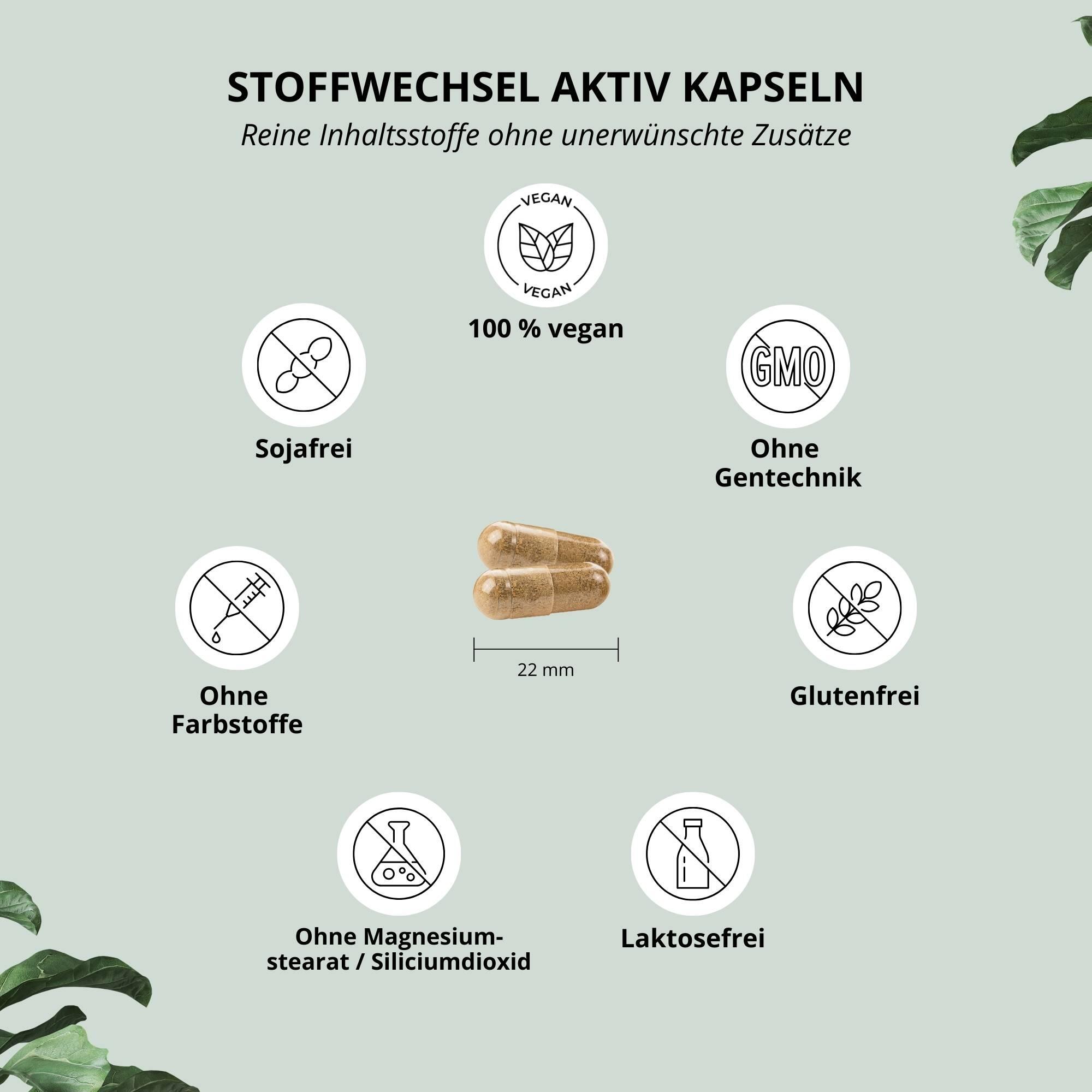 Stoffwechsel Aktiv 60 Kapseln 3/6