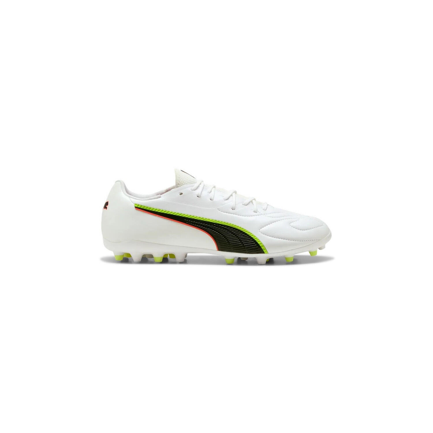 PUMA picture