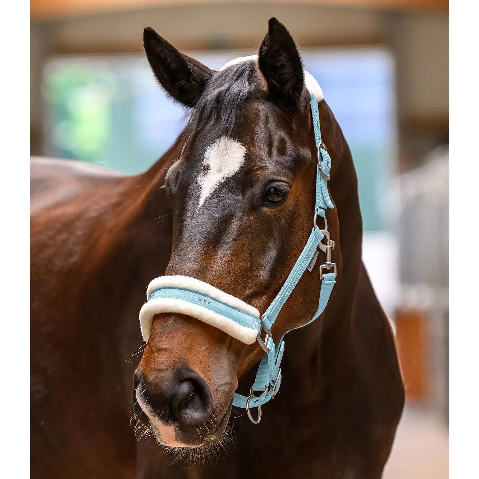 Licol pour cheval elegant Waldhausen 2/2