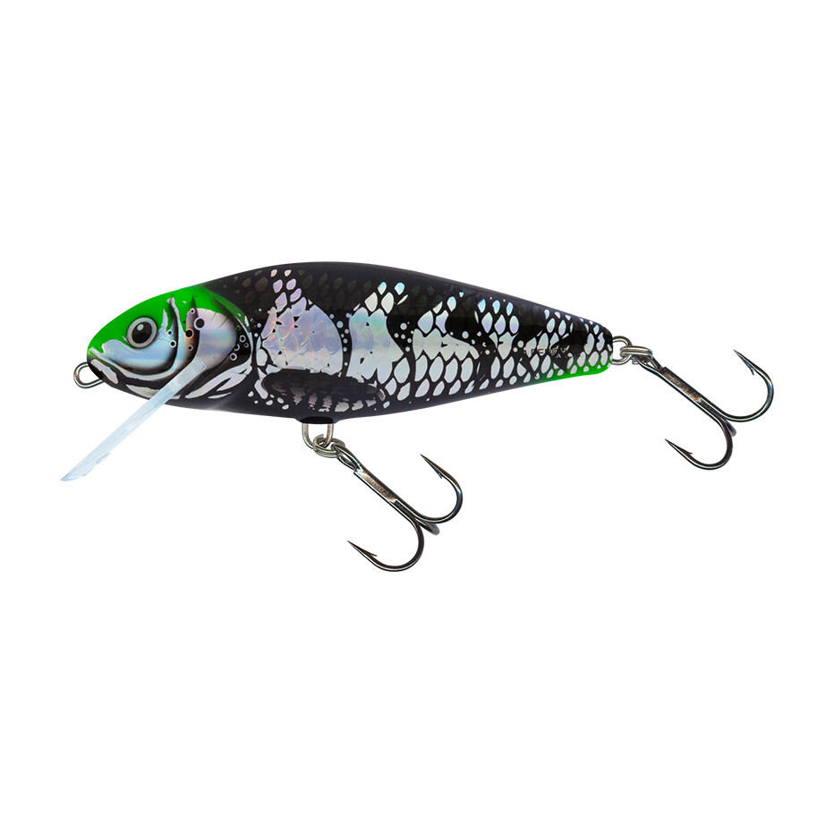 SALMO picture