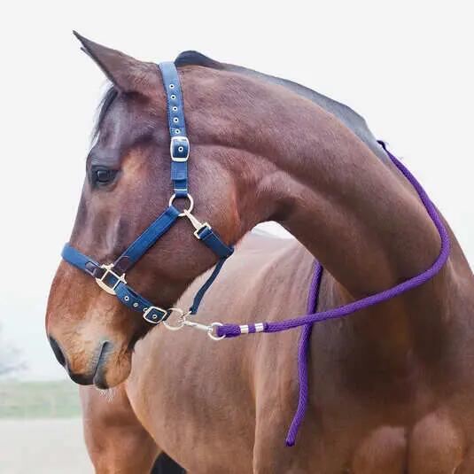 Lanyard with anti-panic carabiner for horses Horze 2/3