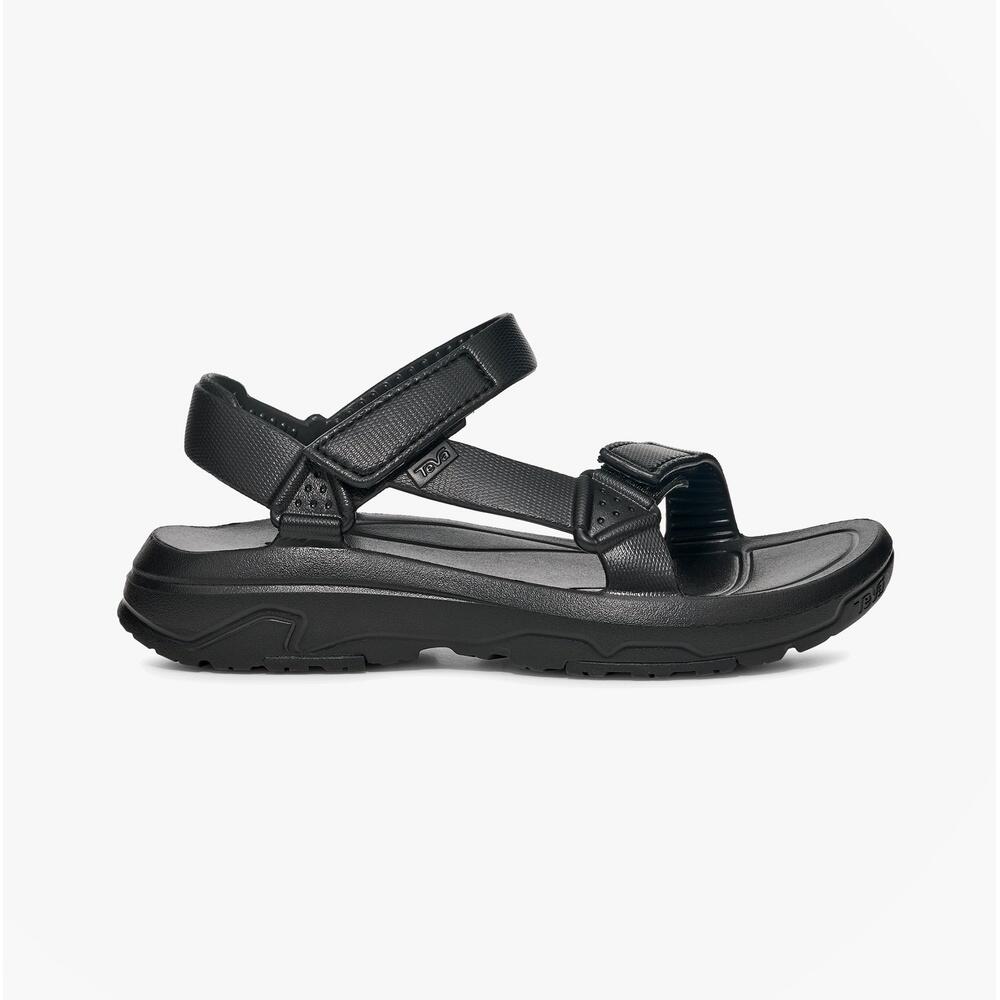 TEVA picture