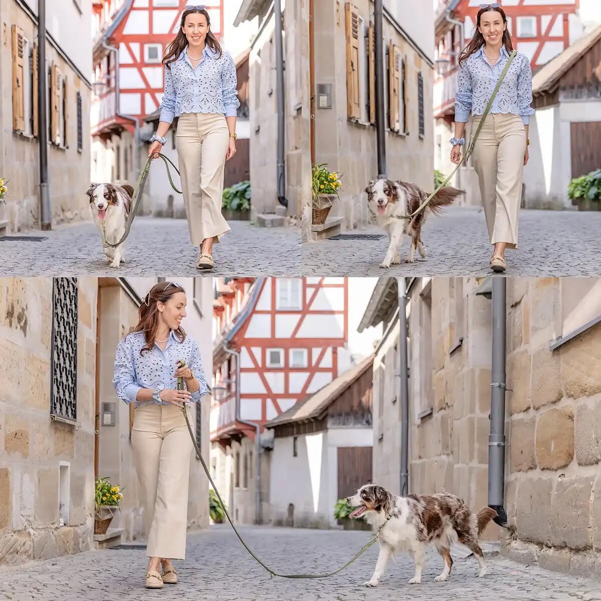 Laisse pour chien Bella reglable 5/7