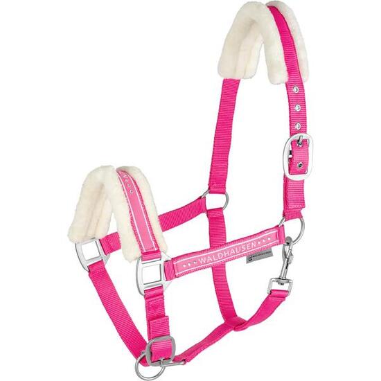 Licol pour cheval elegant Waldhausen