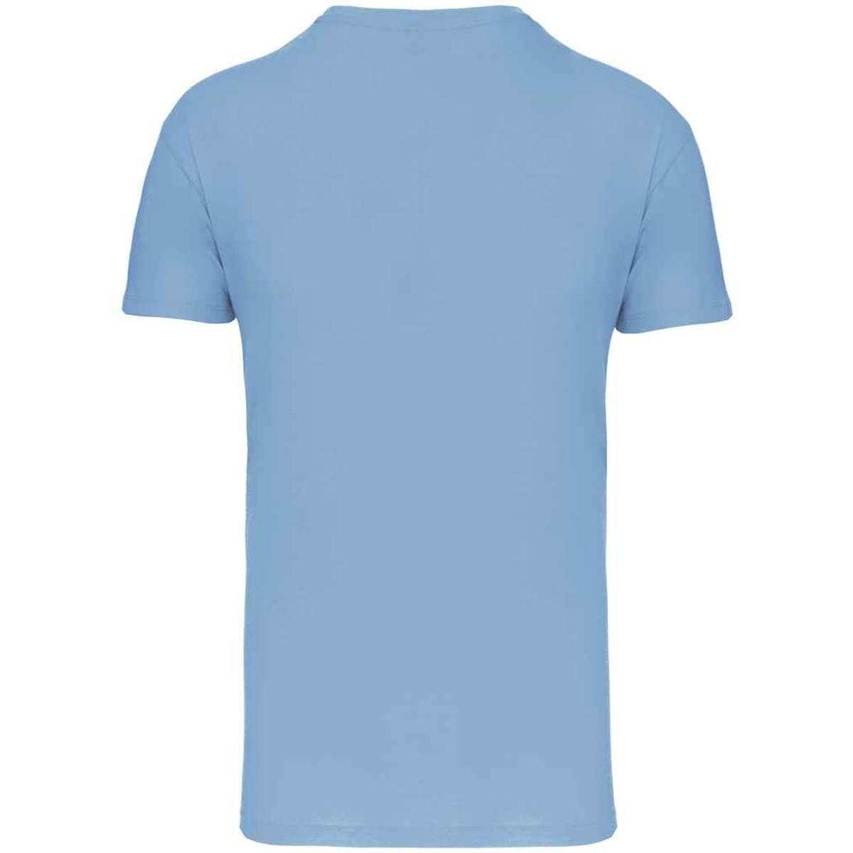 Mens 150IC Crew Neck TShirt (Sky Blue) 2/3