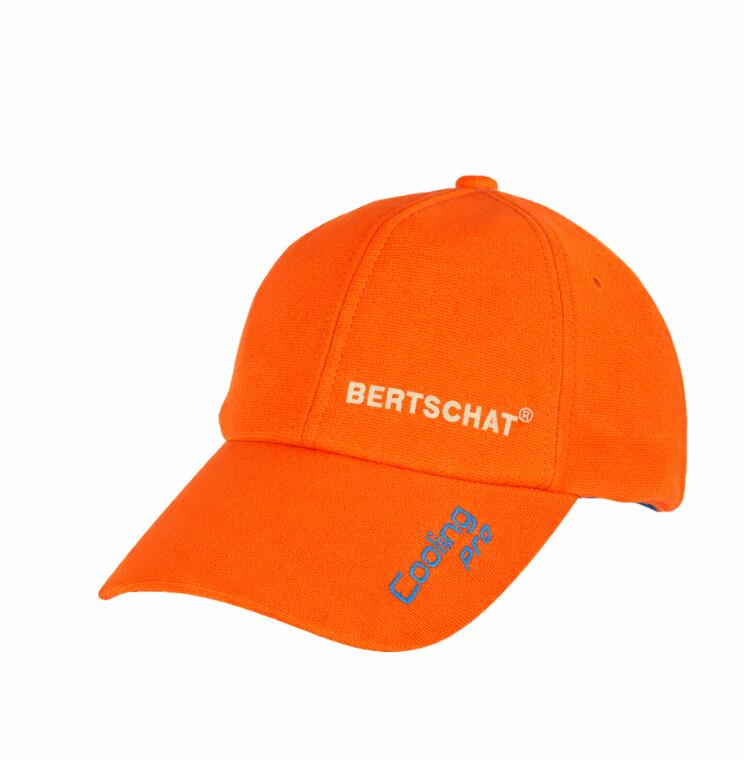 BERTSCHAT picture
