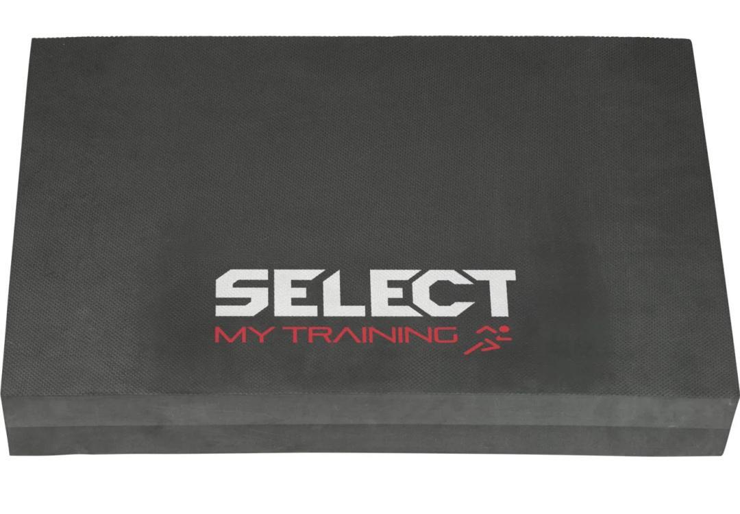 SELECT picture