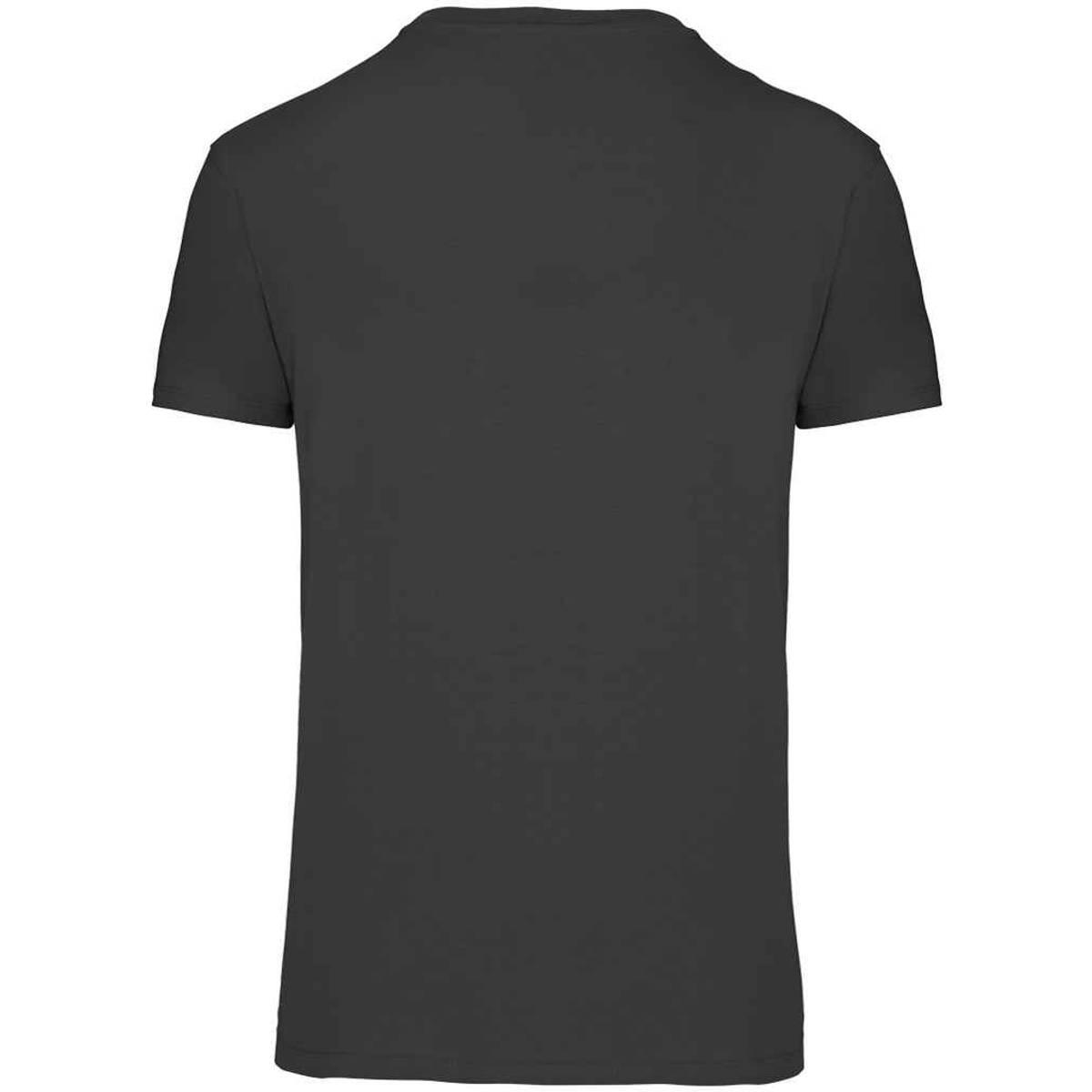 Tshirt BIO150IC Homme (Gris Foncé) 2/3