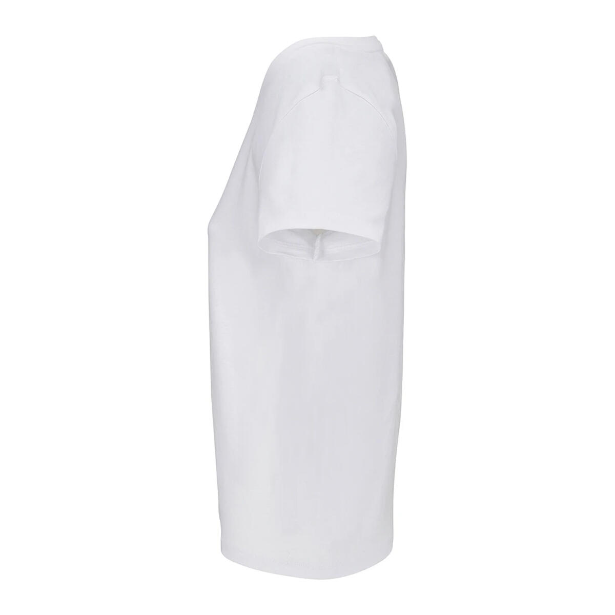 Womens/Ladies Regent V Neck TShirt (White) 3/4