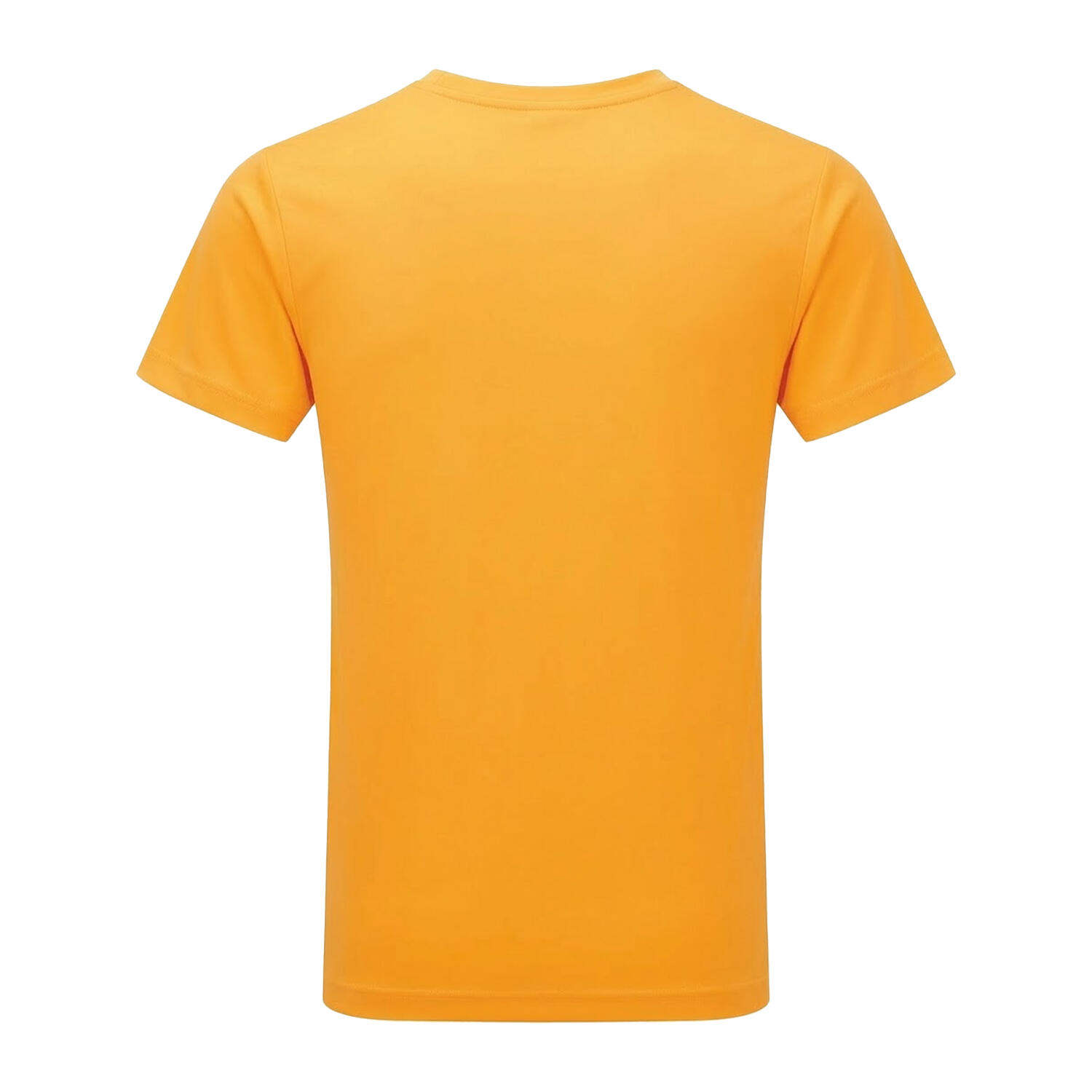 Tri Dri Fitness TShirt, kurzärmlig Herren Gold 2/2