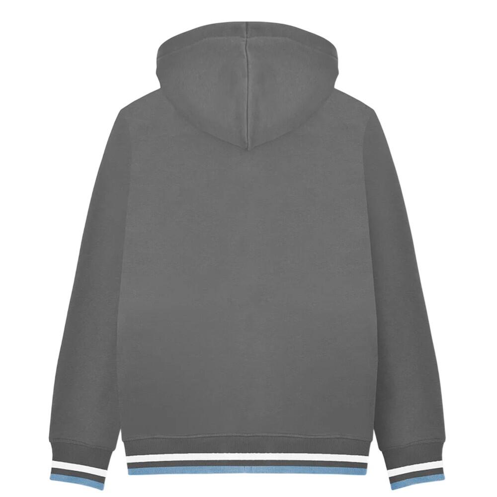 Veste À Capuche Homme (Gris) 3/6