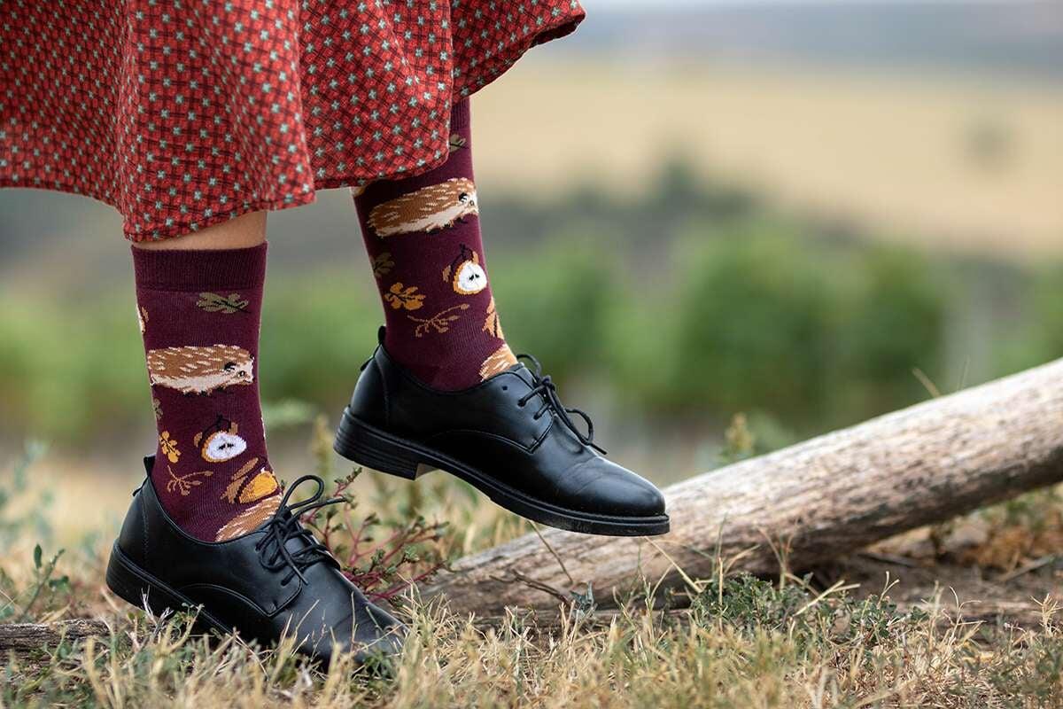 Eleganćna pudełka z 5 parami skarpetek z bawełny Opowieści Jesienne 5/6