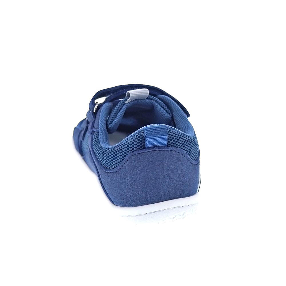 Zapatillas GIOSEPPO  Colebrook Azul  Niños 3/4