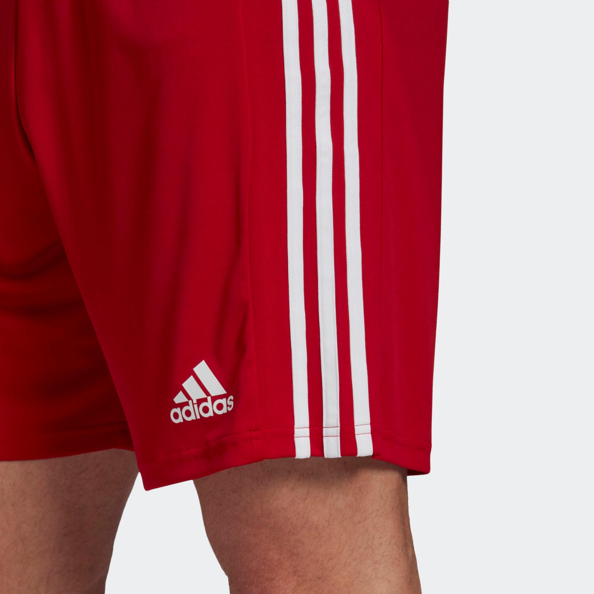 Short Squadra 21 5/5