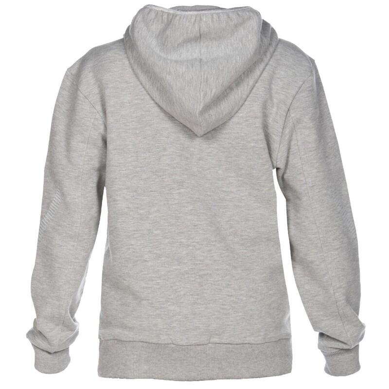 Hanorac sport Arena Team Line Hoodie