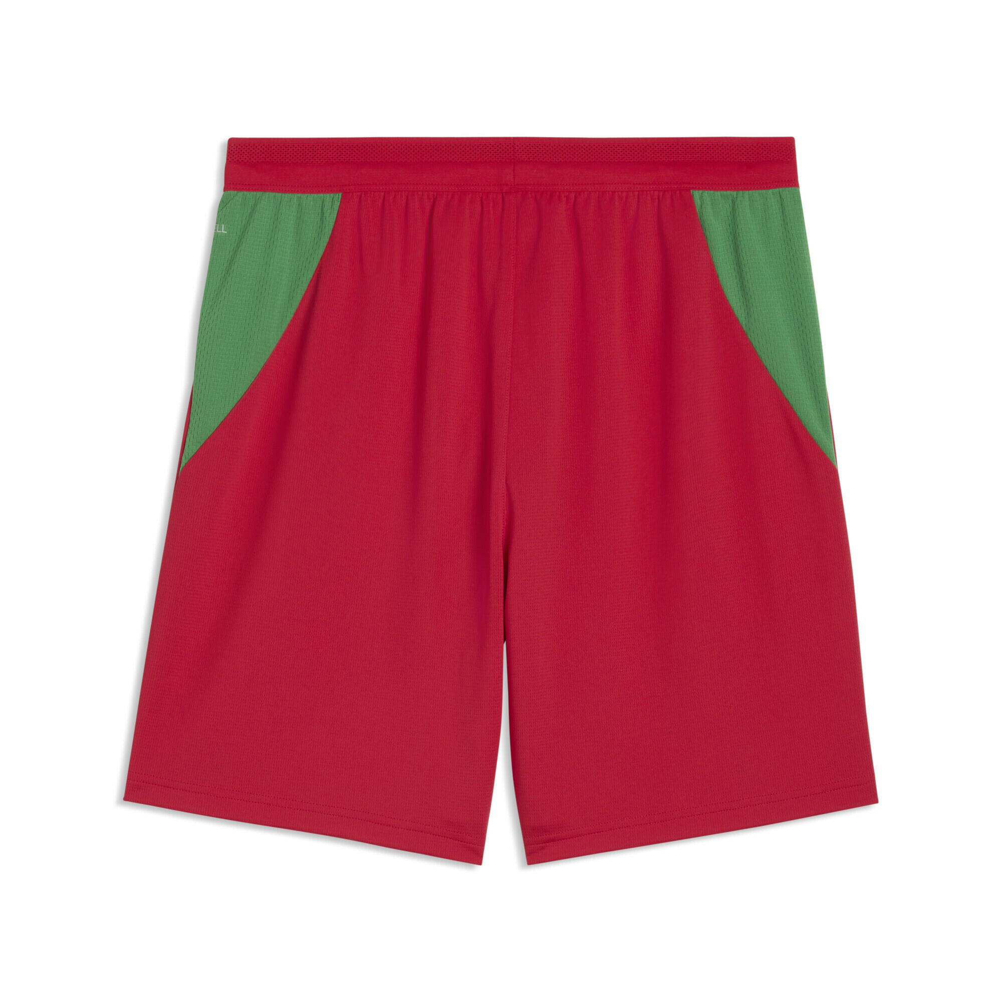 Morocco 2026 Shorts Men PUMA 5/5