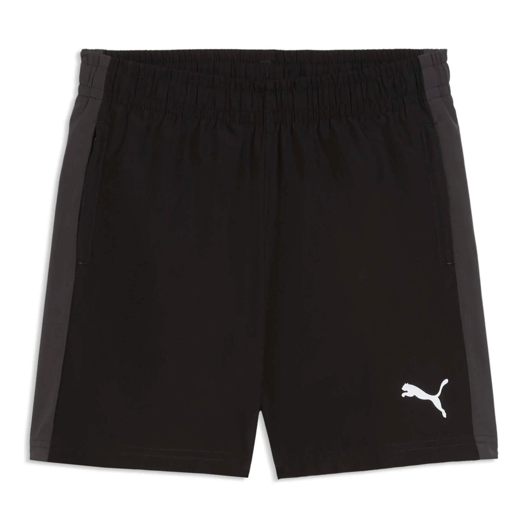 PUMA picture