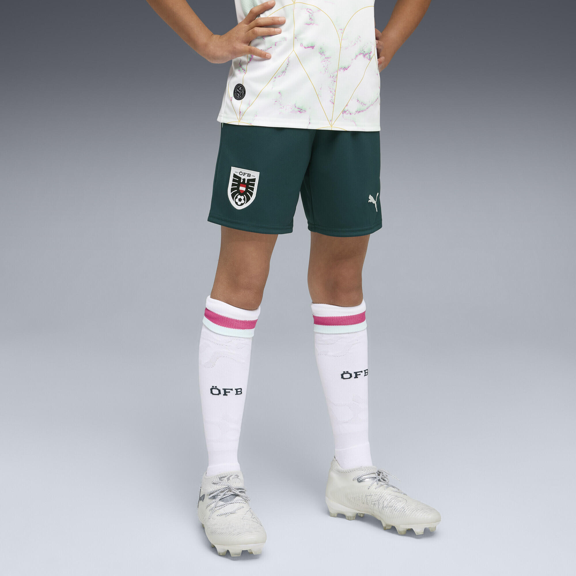 PUMA picture