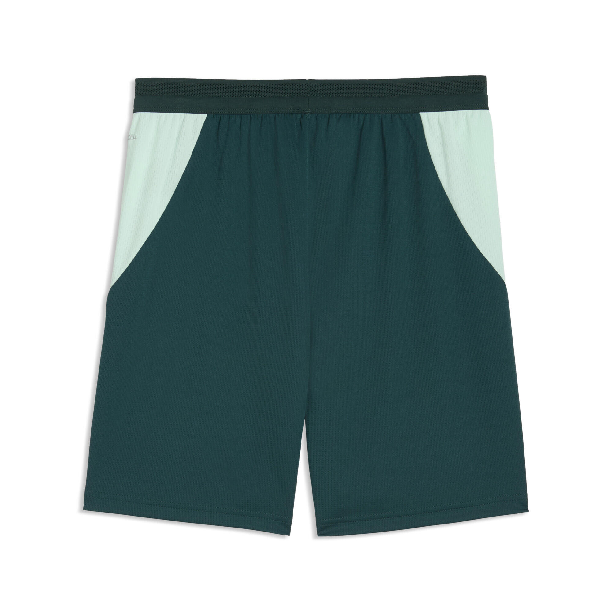 Short Autriche 2026 Homme PUMA 5/5