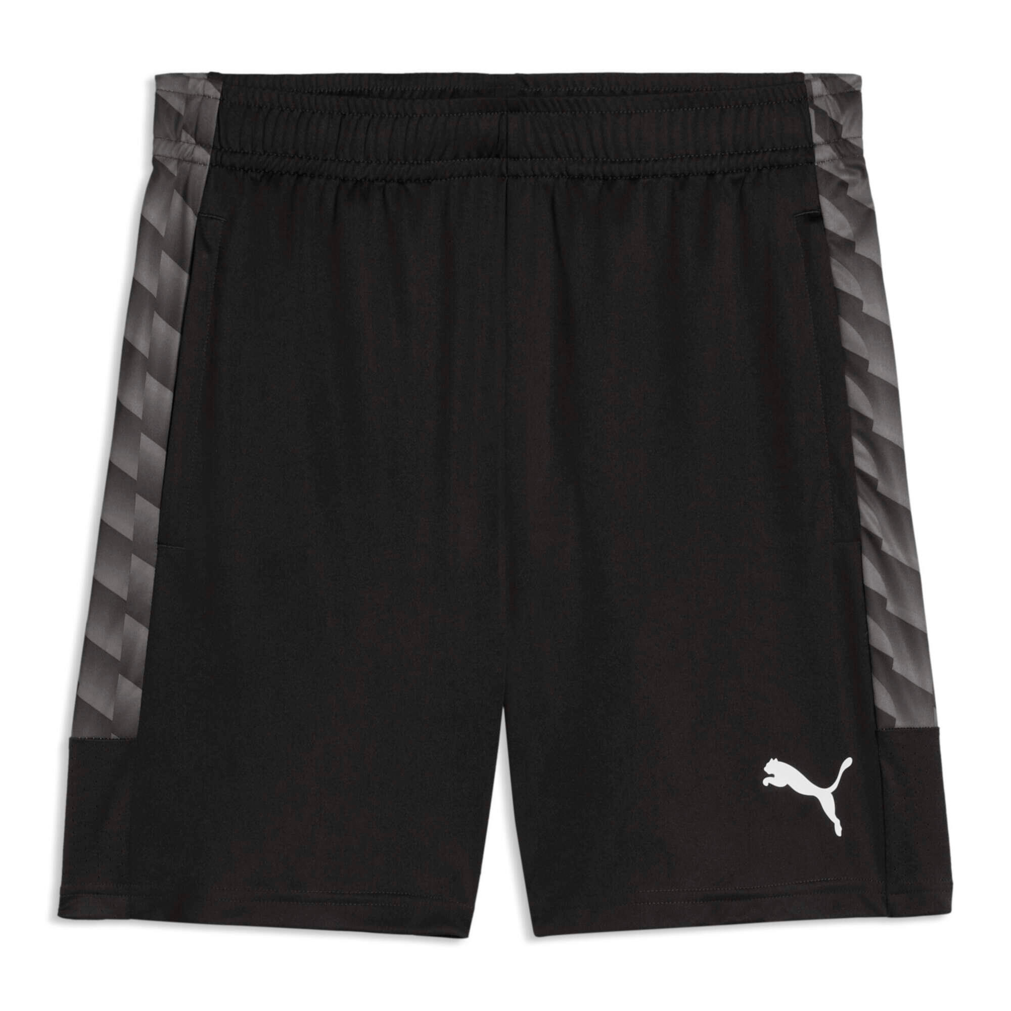 PUMA picture