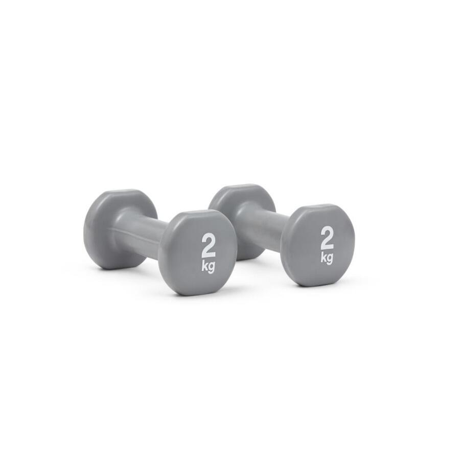 Reebok Grey Training Dumbbells 2kg
