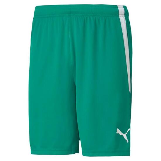 Short Puma Team Liga