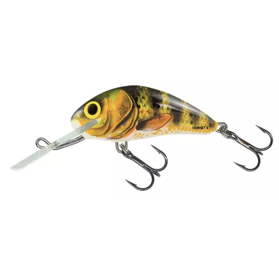 SALMO picture