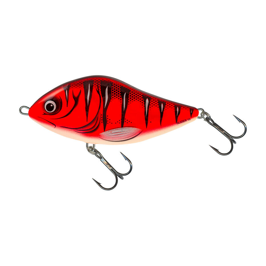SALMO picture