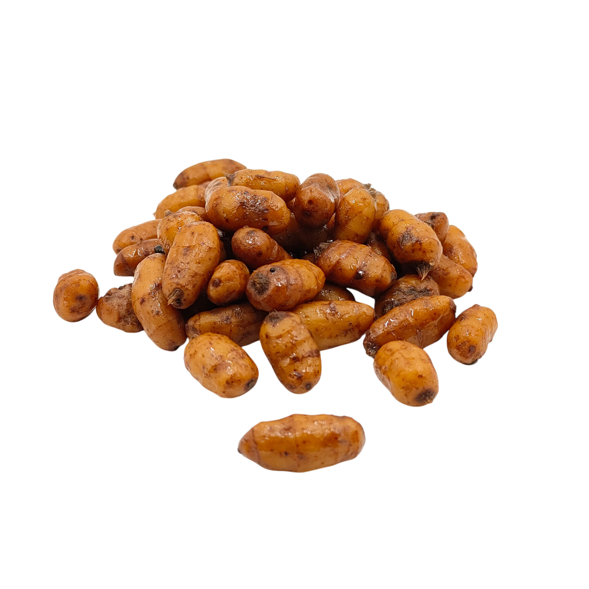 Orzechy Tygrysie XXL przynętowe Warmuz Baits 250ml DONALD 2/2