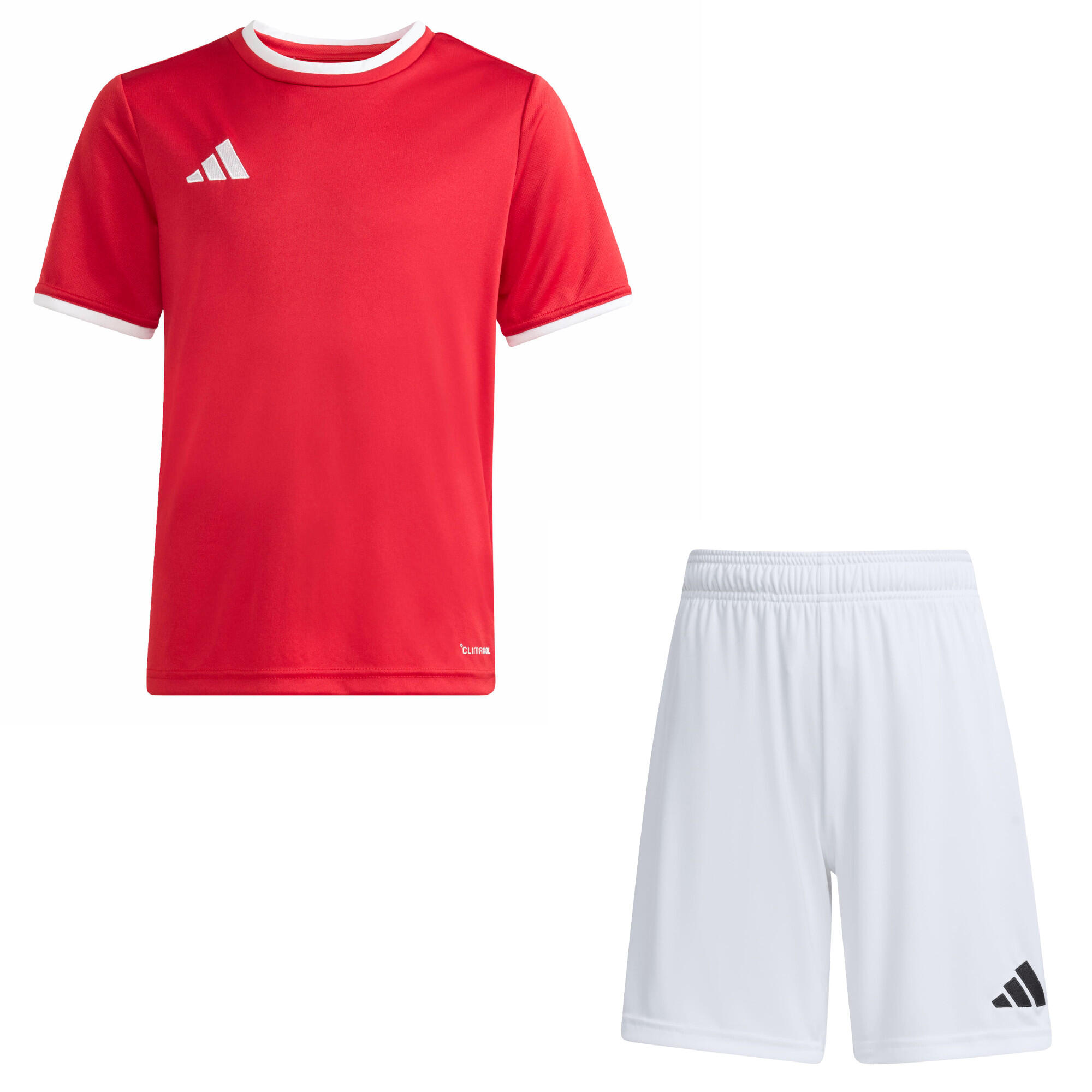 ADIDAS picture