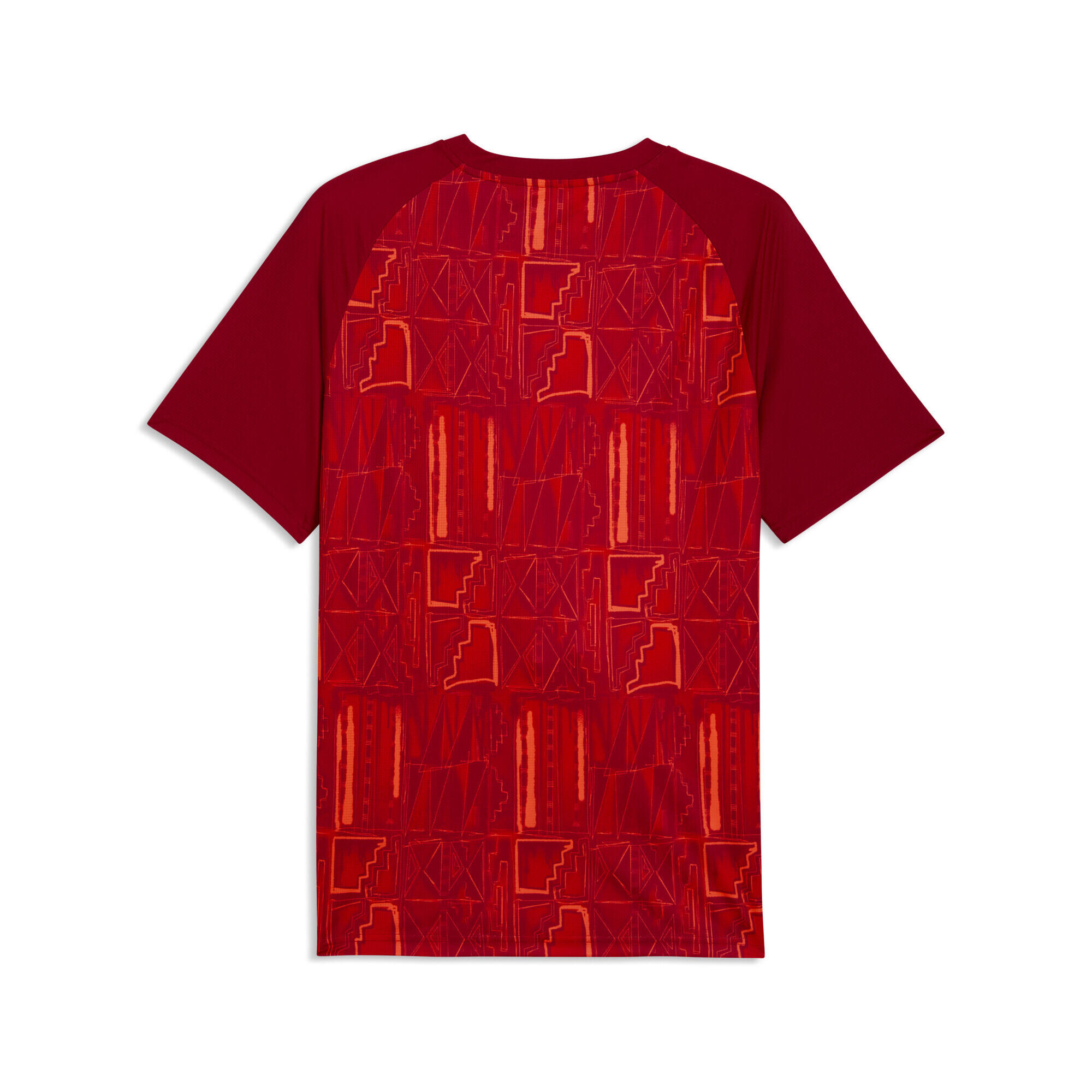 Ghana warm-up-shirt voor heren PUMA 5/5