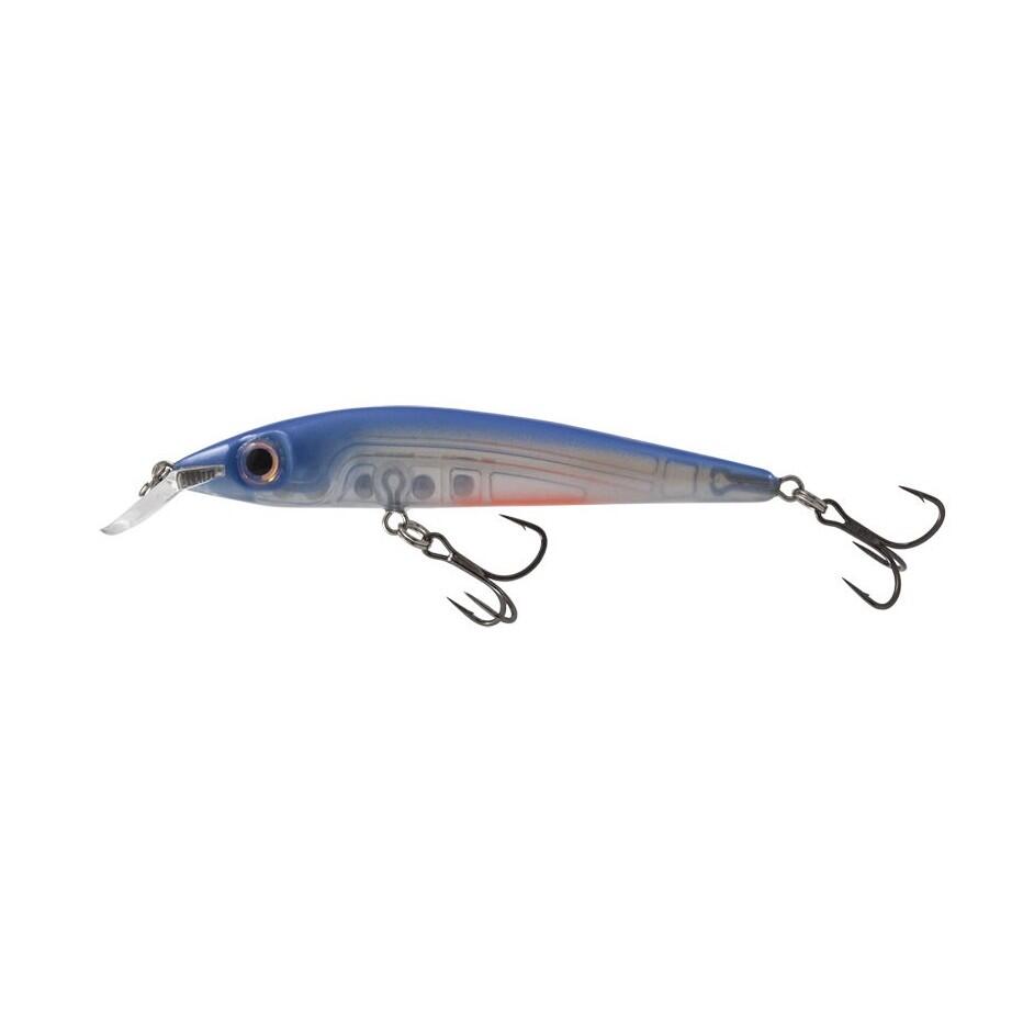 SALMO picture