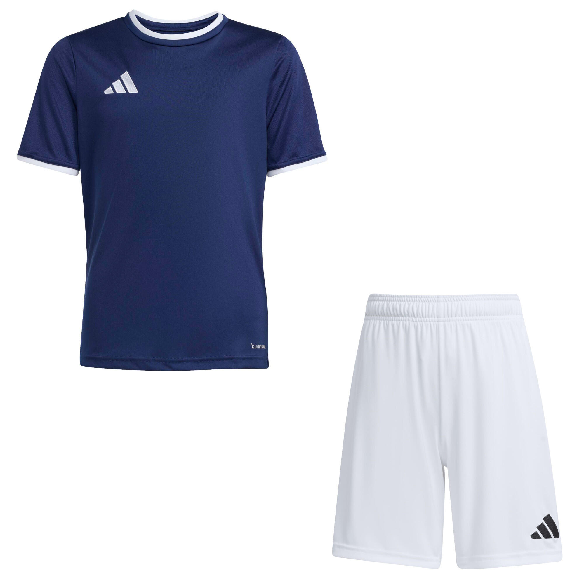 ADIDAS picture