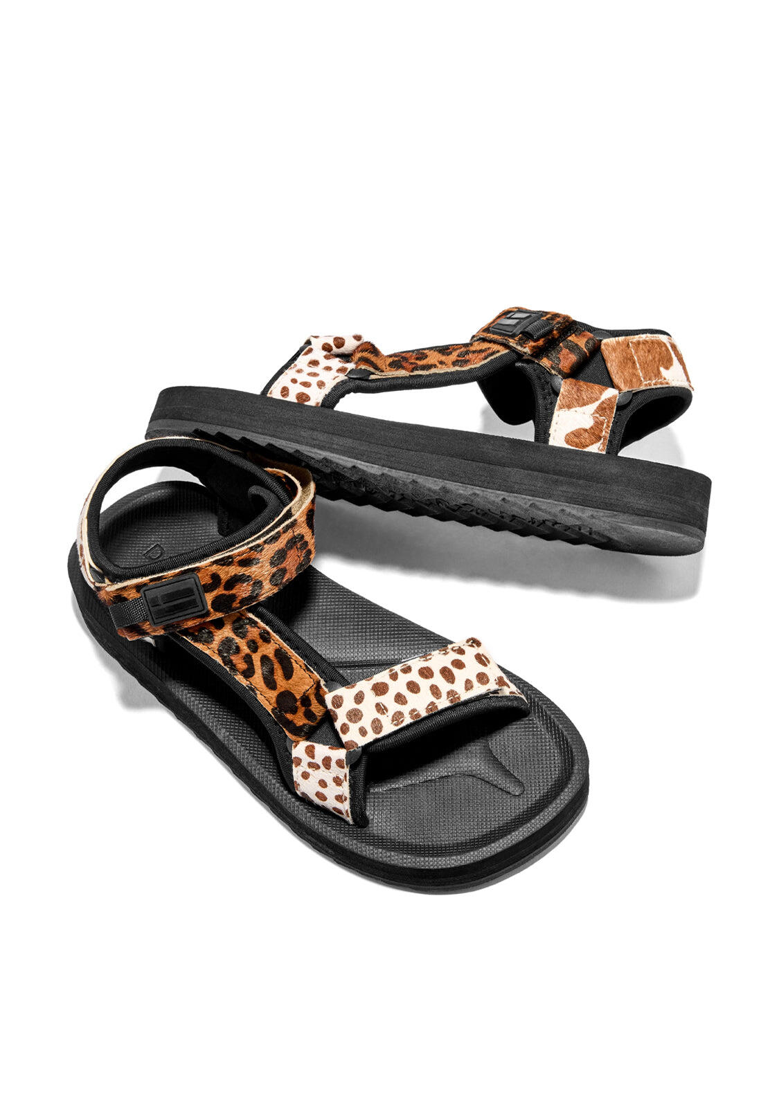 Sandalias D. Franklin Forest Animal Multicolor 4/5