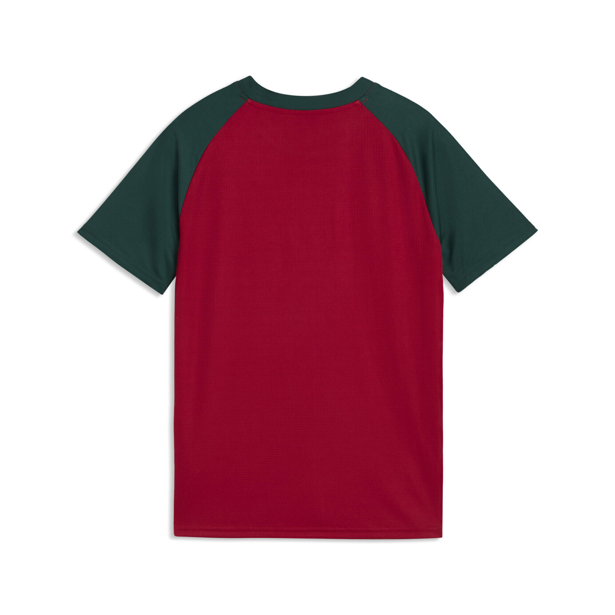 Camiseta de calentamiento Marruecos Niño PUMA 6/6