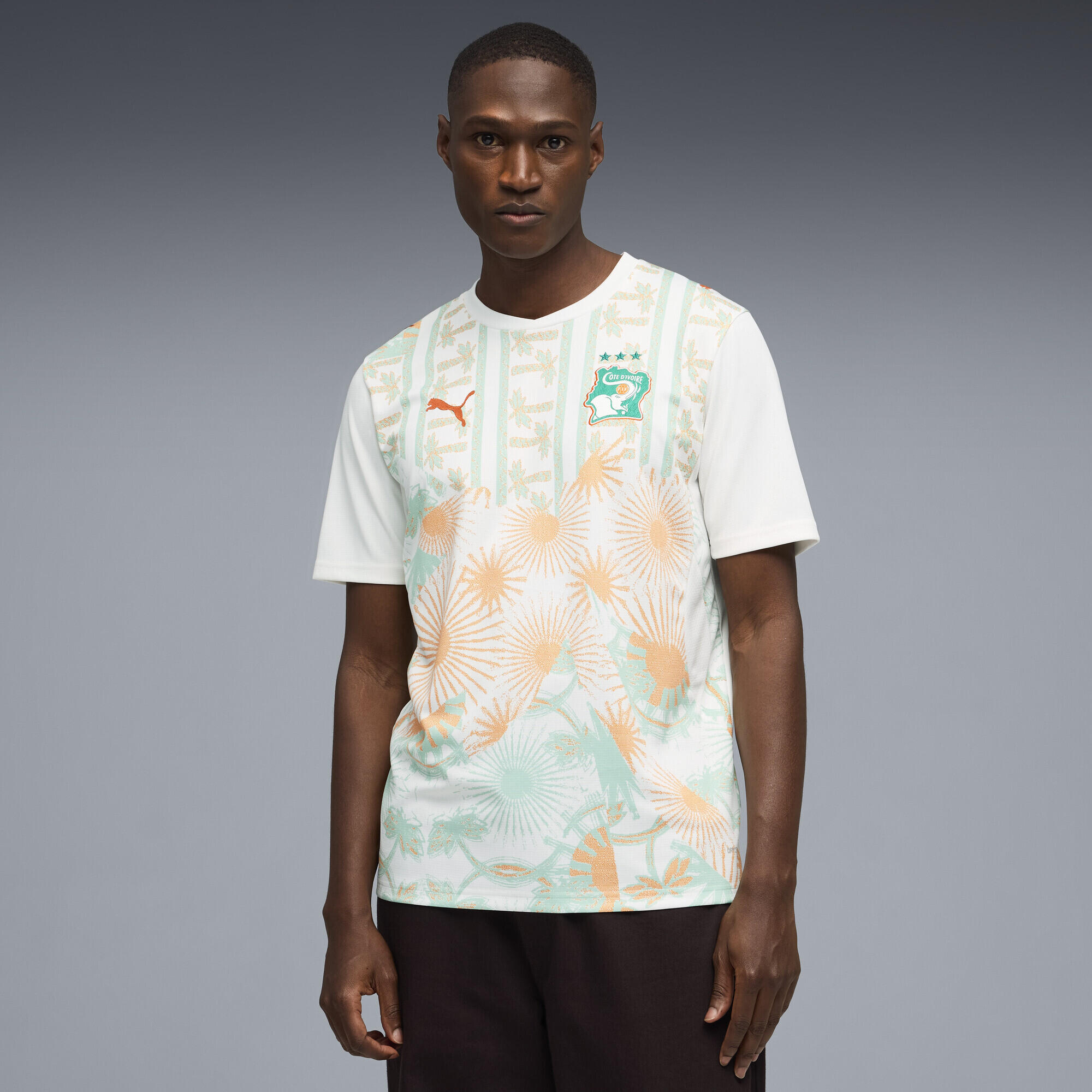 Ivoorkust 2026 uitshirt voor heren PUMA 2/6