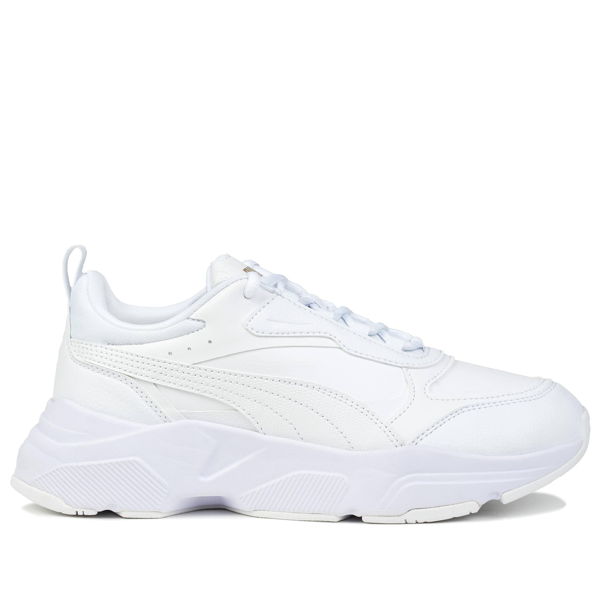 PUMA picture