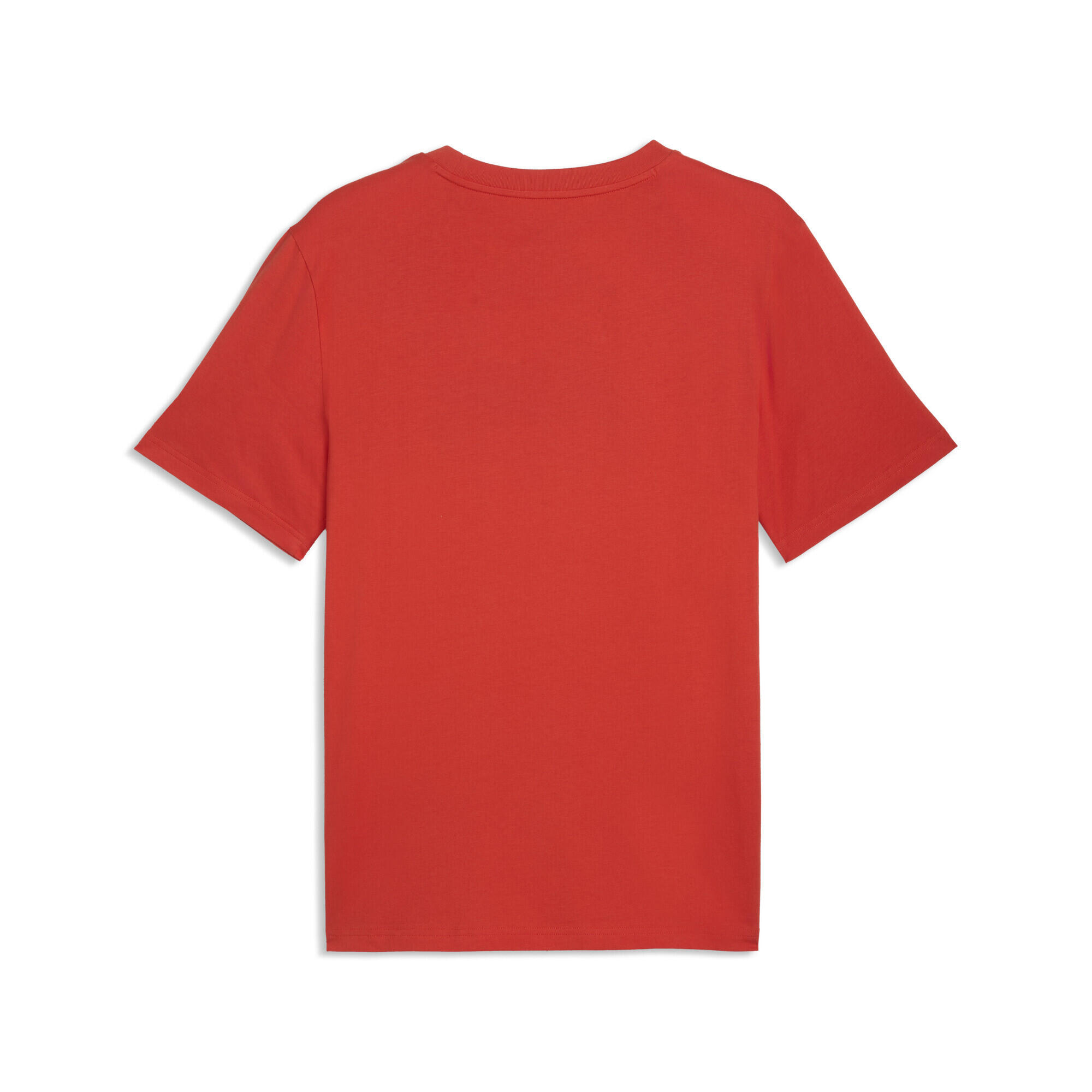 T-shirt ftblCulture Egypte Homme PUMA 5/5