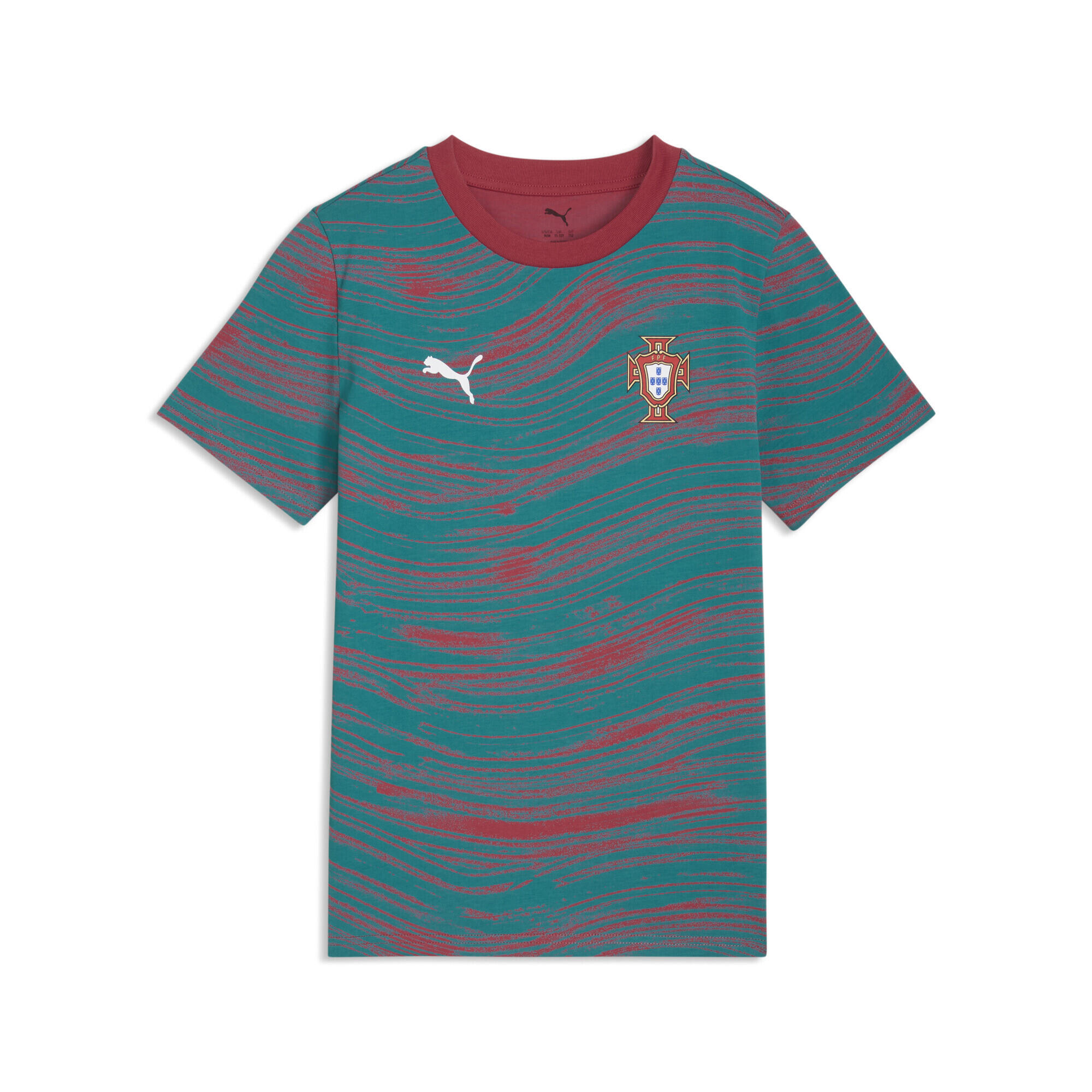 PUMA picture