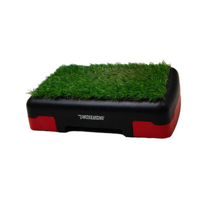 Step mit Kunstrasen Powershot