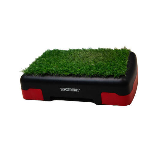 Step mit Kunstrasen Powershot