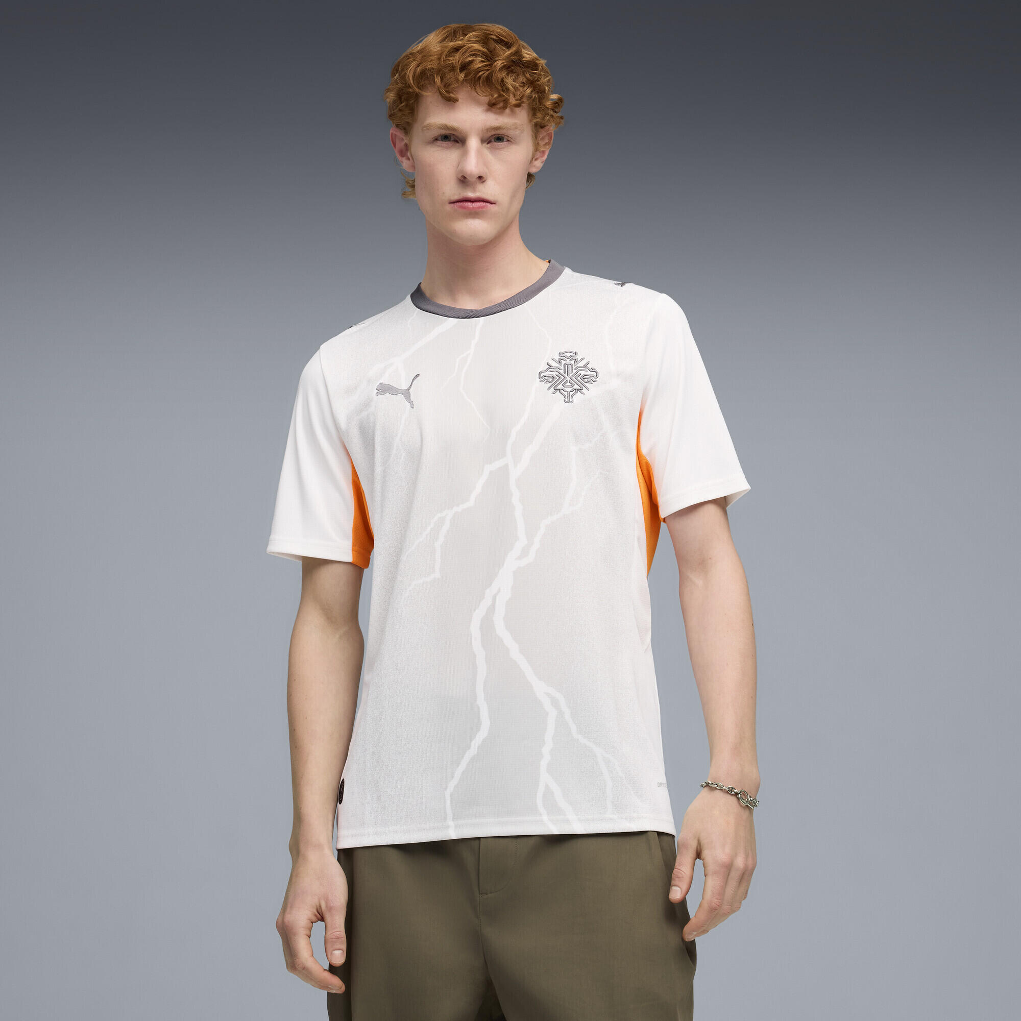 PUMA picture