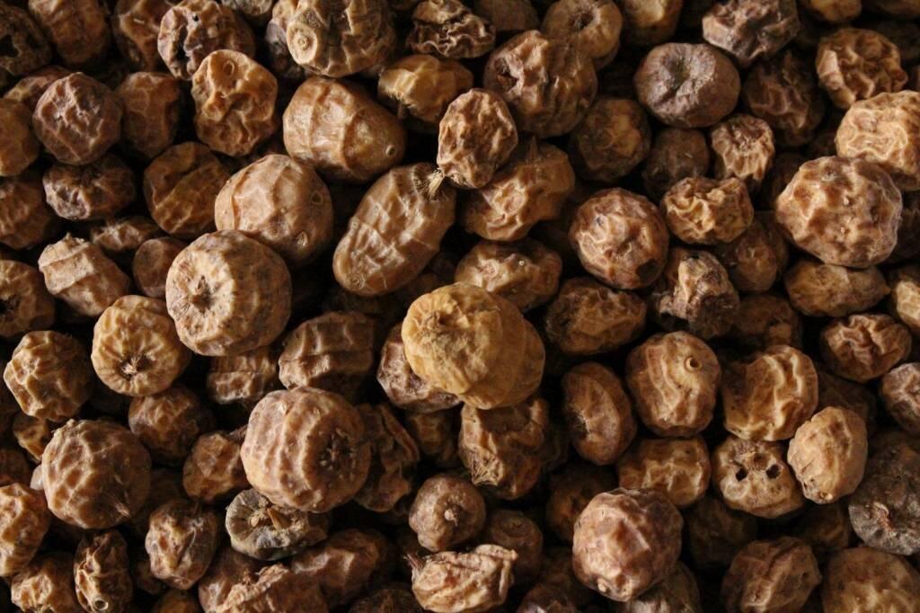 Baitworld Tiger Nut Mix Trocken 2/3