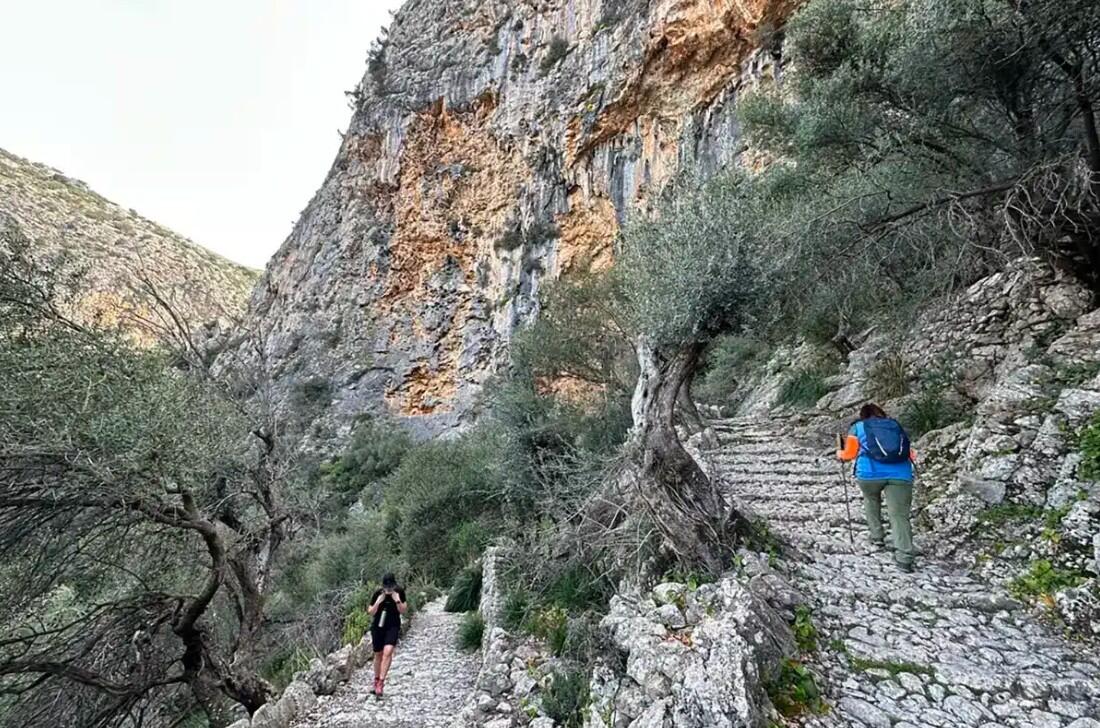 DECATHLON TRAVEL picture