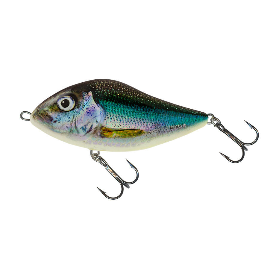 SALMO picture