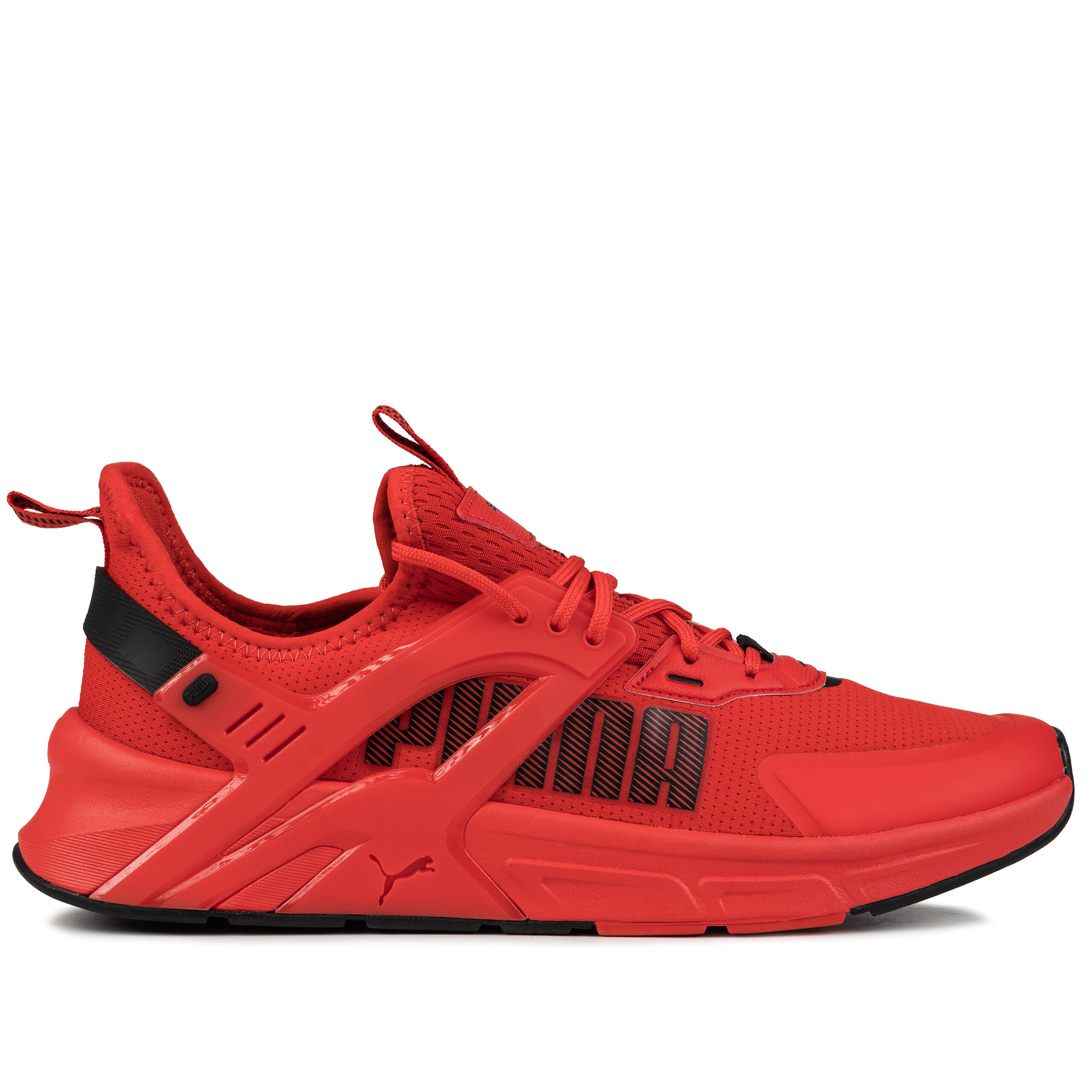 PUMA picture