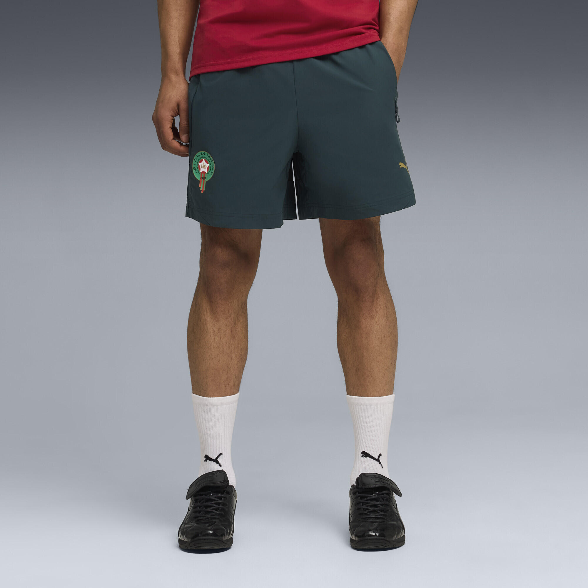 PUMA picture
