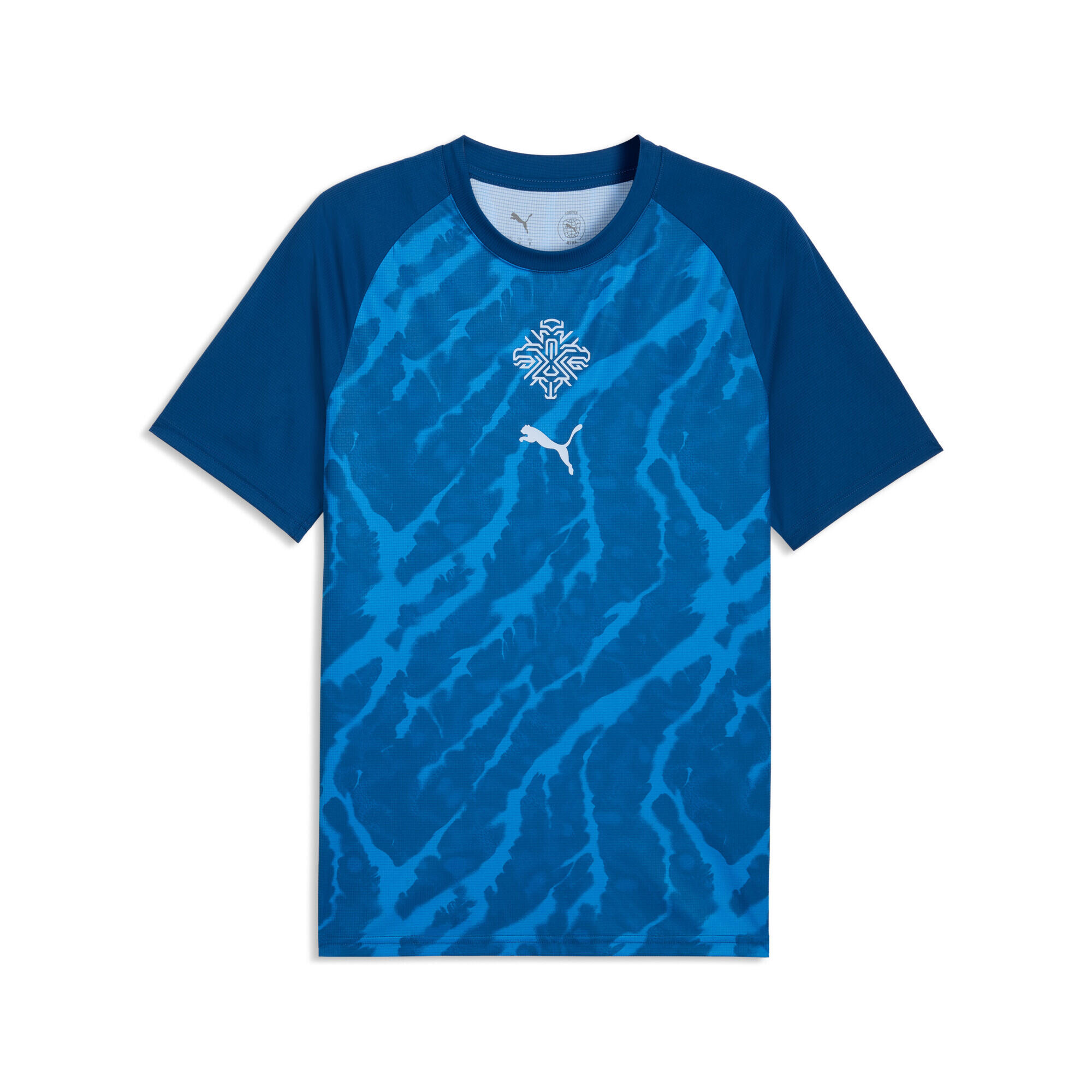 Camiseta de calentamiento Islandia Hombre PUMA 2/5