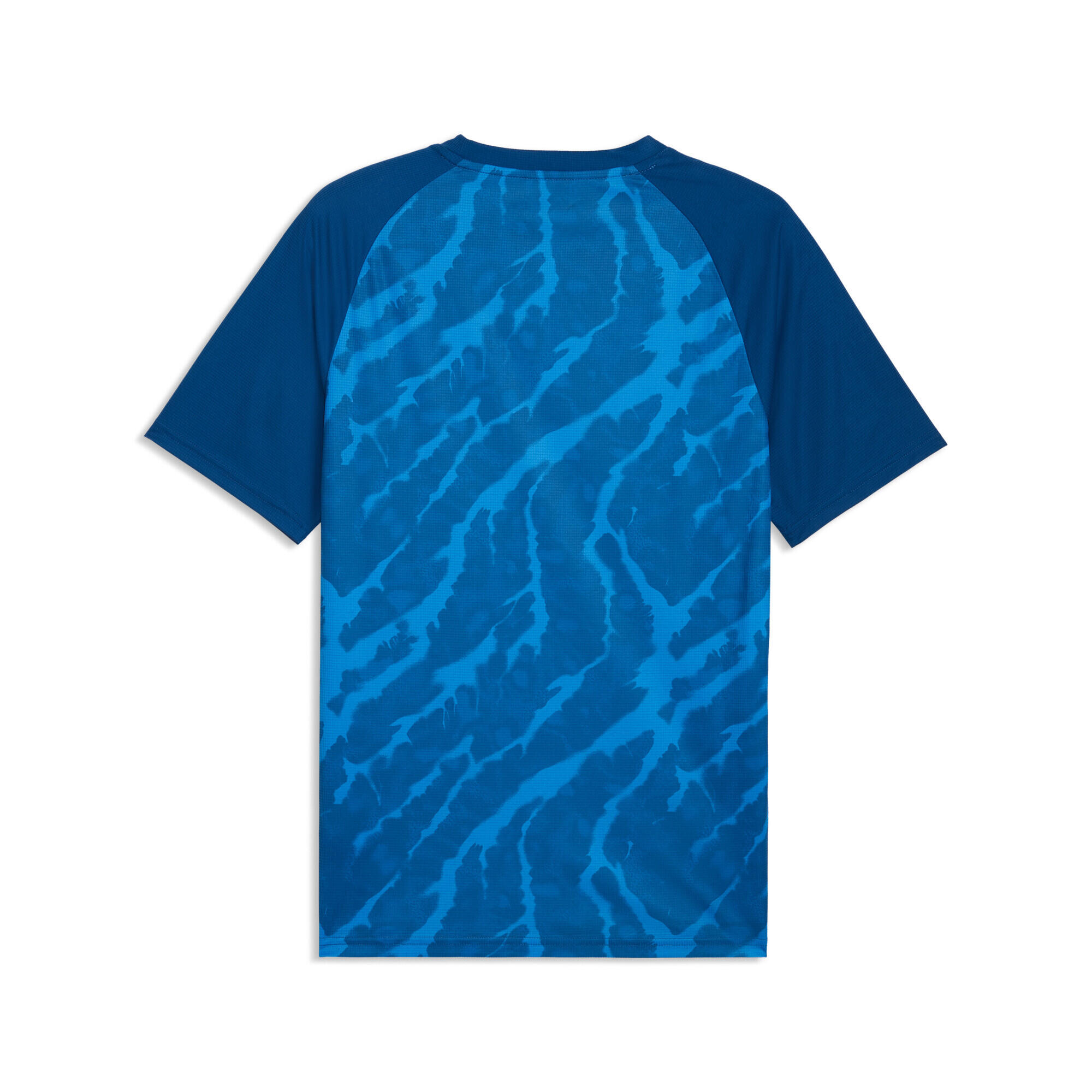 Camiseta de calentamiento Islandia Hombre PUMA 5/5